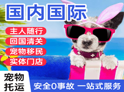 衡阳南岳国际宠物托运 【国